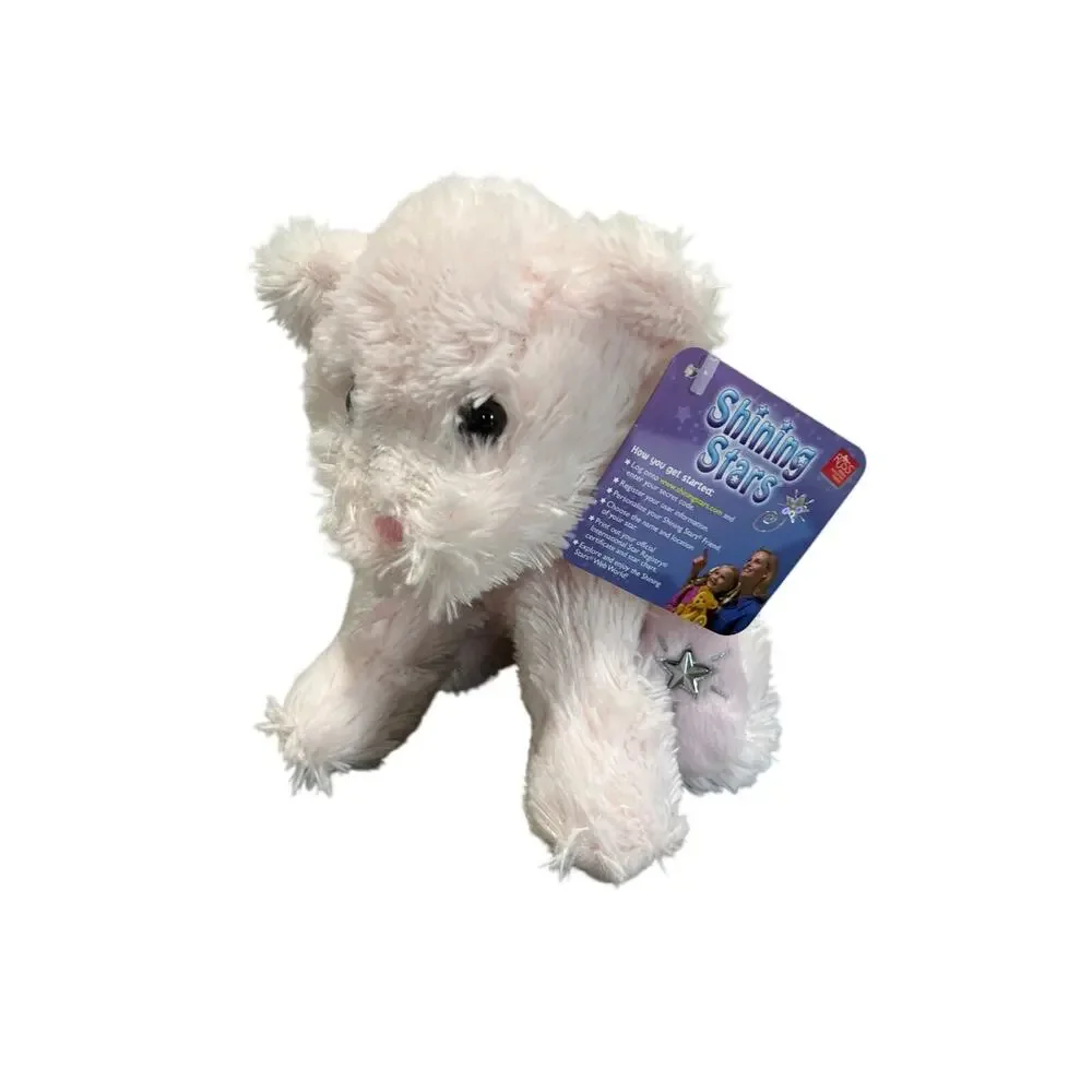 RUSS Shining Stars official International star registry name your own star bear